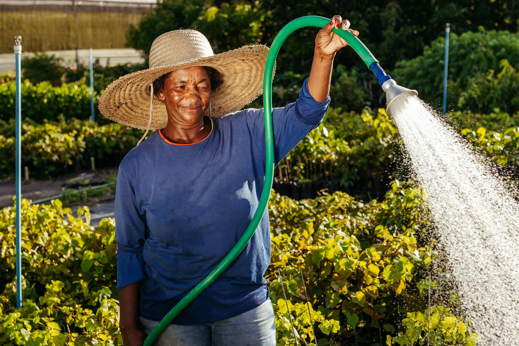 Professional Irrigation Services in Haslet, TX with Proven Results