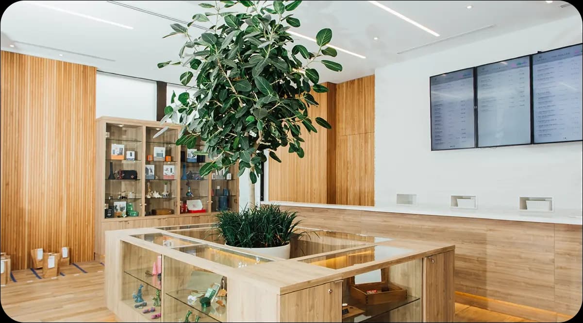 Your Reliable Solution for Dartmouth Cannabis Delivery