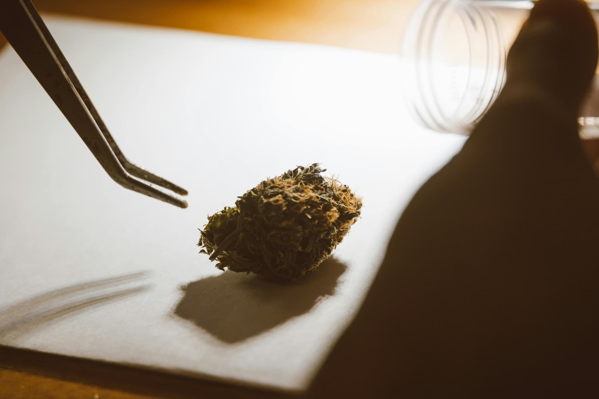 WHY “BUY THC ONLINE” SEARCHES ARE INCREASING — AND WHAT IT MEANS