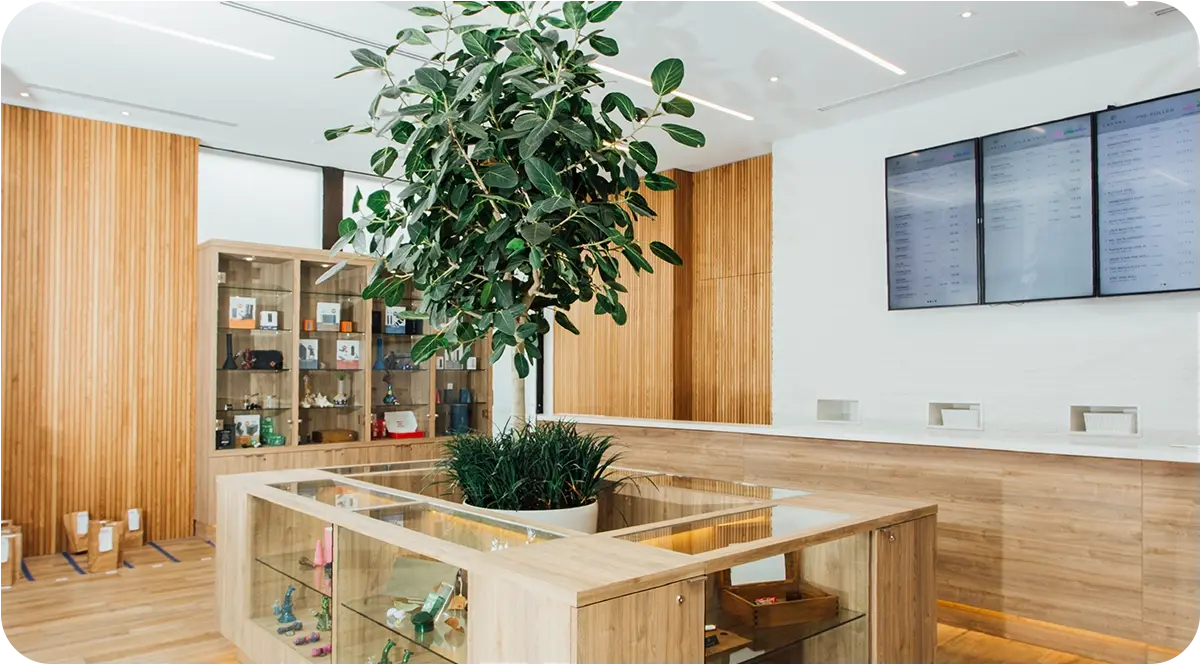 Your Reliable Solution for Dartmouth Cannabis Delivery