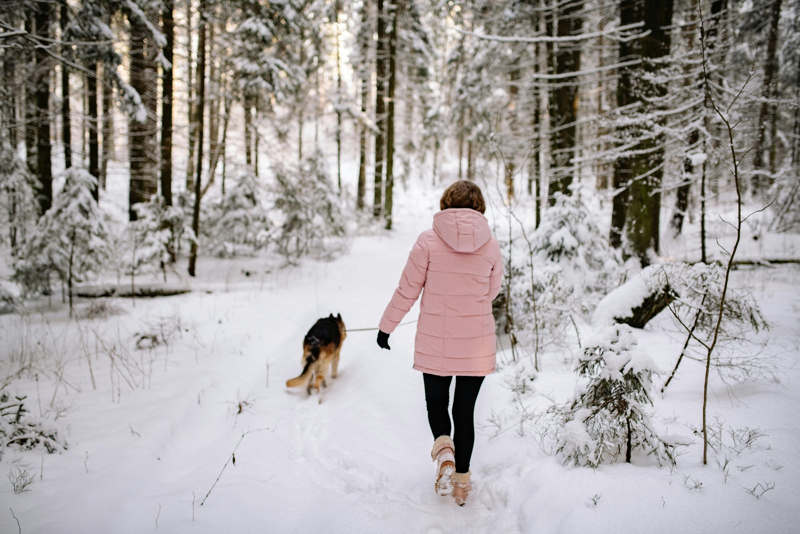 Cool Walking Trails Near Me Perfect for Wildlife Observation