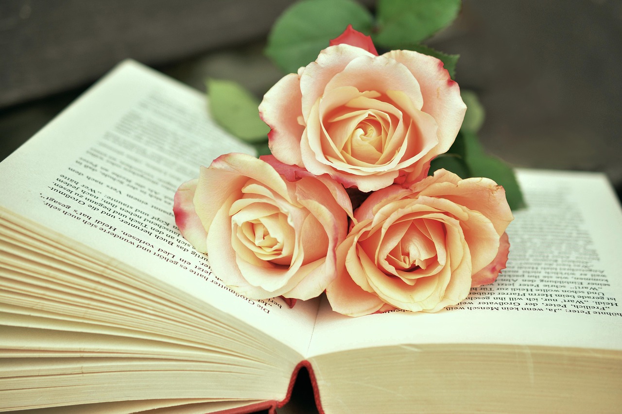 The Family Lessons in C.S. Duncan Books Feel Like timeless literary classics