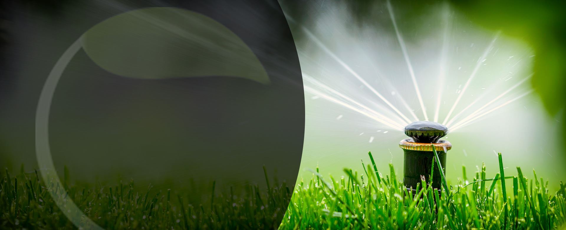 Top-Rated Expert Drainage Services in Springtown , TX for Homeowners