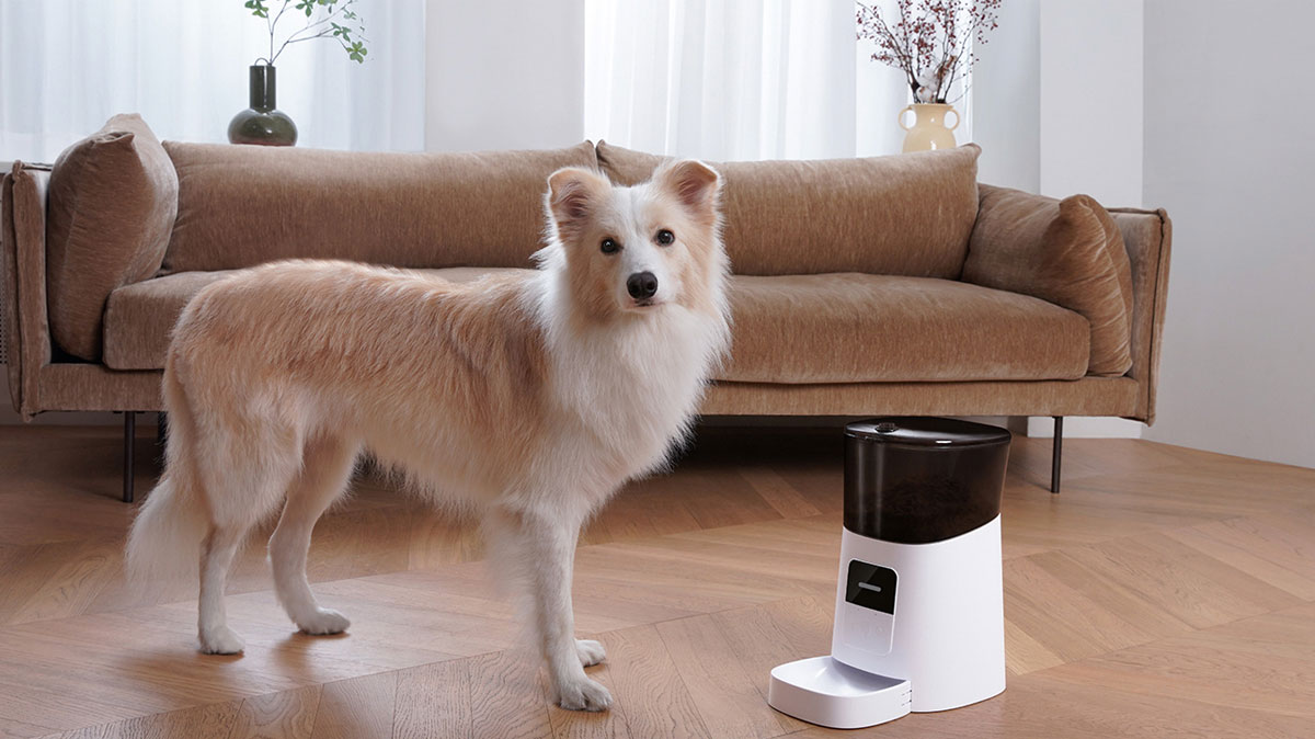 Feeding Made Simple: The Benefits of WOPET Automatic Pet Feeder for Your Furry Friends