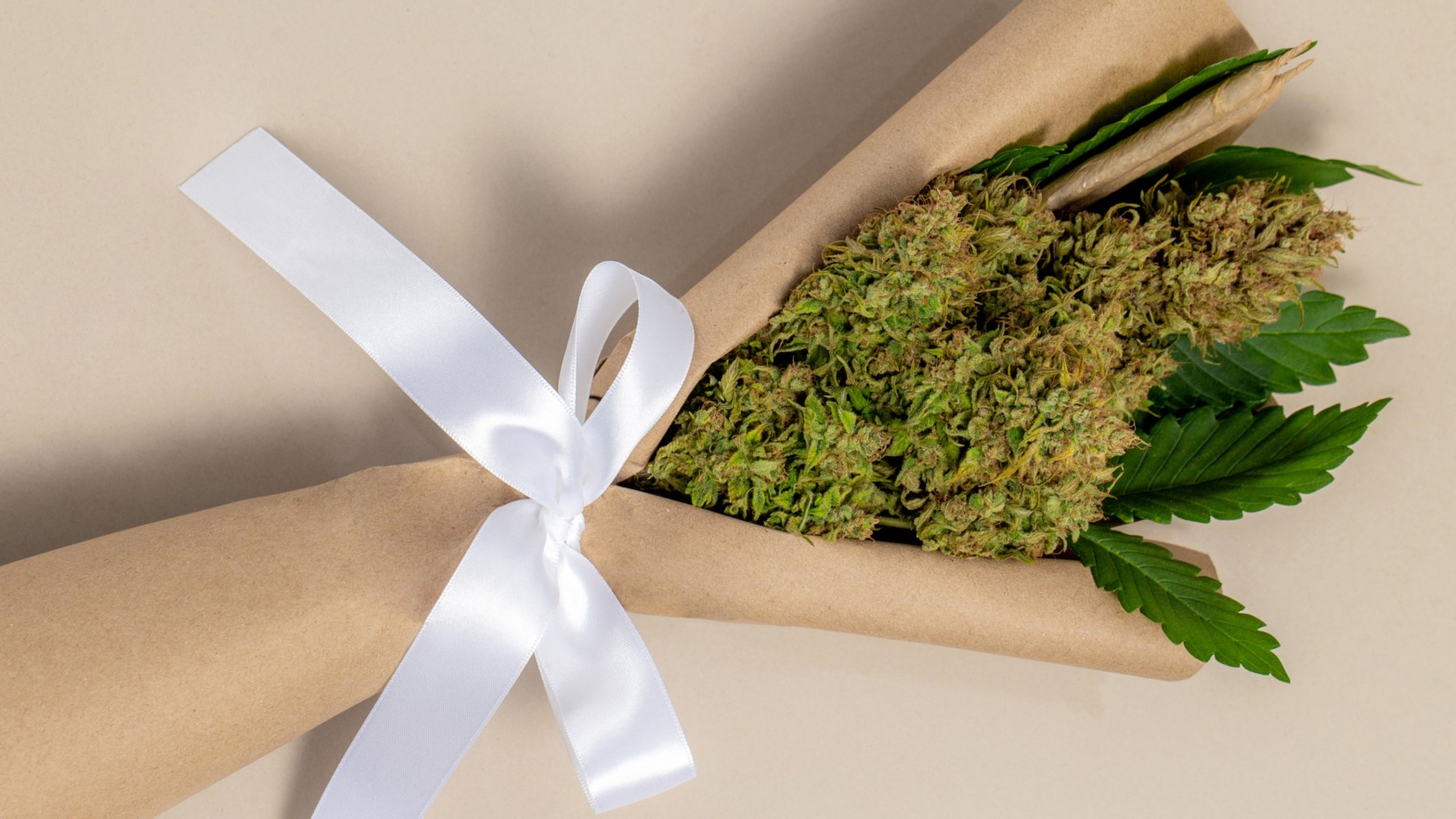 Blue Meanies Potent Mushrooms at Bud Cargo – Experience Premium Psychedelics