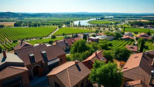 Experience scenic Clarksburg, CA, with historic buildings and vineyards under natural sunlight.