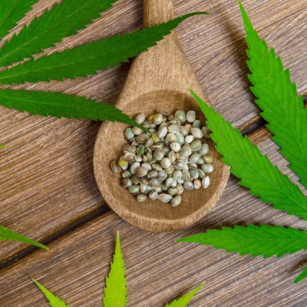 Popup CNX: A Unique Kratom Cafe in Chiang Mai